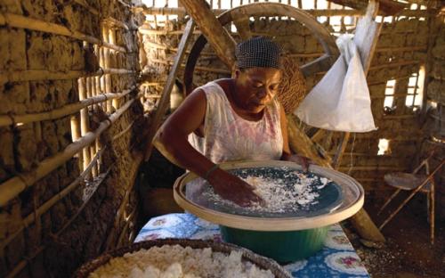 O feitio artesanal da farinha de mandioca triturada e peneirada nos mesmos moldes do passado, é uma das práticas centenárias que persistem nas comunidades do vale do Ribeira. Foto: Caio Vilela
