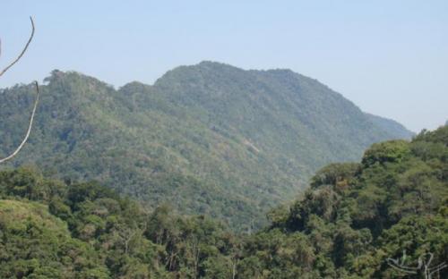 Parque Estadual Turístico do Alto Ribeira, onde está o quilombo de Bombas.